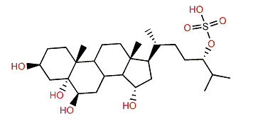 (24S)-Cholestane-3b,5a,6b,15a,24-pentol 24-sulfate